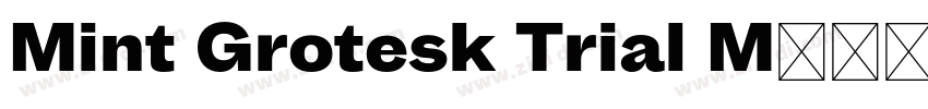 Mint Grotesk Trial M字体转换